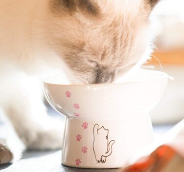 Підвищений годівниця для котів з порцеляни, антизворотний клапан, для вологого та сухого корму, безпечна та безстресова