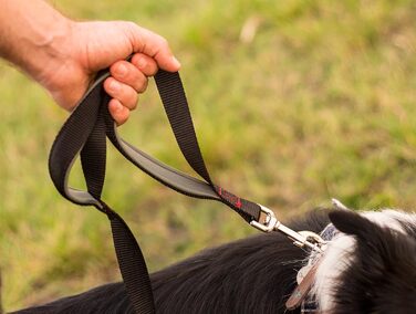 Повідок Leash Boss для великих собак з двома ручками та додатковою транспортною ручкою, міцний, з подвійною м'якою підкладкою, для вигулу та дресирування
