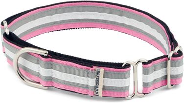 If It Barks Martingale нашийник для собак, нейлоновий, регульований, 2,5 см, малий (28-38 см), вироблено в США, колір Spunky