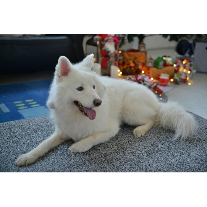 Ортопедичне собаче ліжко Raikou з плюшевою подушкою, 100x80x9 см (Сірий меланж)