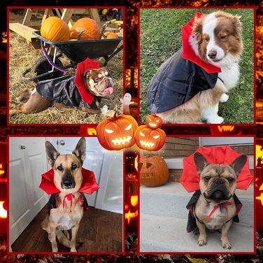 Костюм для собак Goyoswa на Хелловін: вампірський та диявольський, для собак великих, середніх та малих розмірів