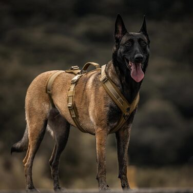 OneTigris HOUNDLOCK Тактичне шлейка для собак, надійна, регульована, з м'якою підкладкою, з ручкою, 2D-кільцями та світловідбиваючими елементами (M, L:27-41кг, обхват шиї 45-63см, обхват грудей 68-91см), Колір: Коричневий