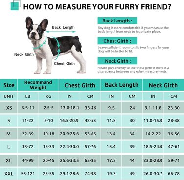 Спасальний жилет для собак у вигляді акули, XL (1 шт.), зелено-лимонний, для водних розваг, з ручкою та світловідбиваючими елементами