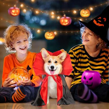 Костюм на Хелловін для дорослих: милий собака, костюми на Хелловін, накидка вампіра, регульований костюм для домашніх тварин з нагрудником, довжина спини 40 см, накидка вампіра-чаклуна, костюми для котів