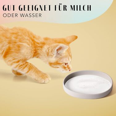 Миска для котів [Колекція Nala] - Плоска миска для їжі | Широка силіконова миска | Миска для котів | Силіконова тарілка для котячого корму (сірий камінь)