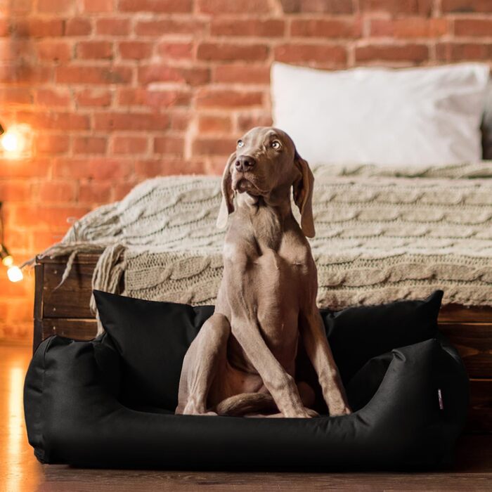 Tierlando® Hundebett NEMO: зручне ліжко для собак з Oxford 600D, знімний матрац та пральна наволочка, розмір 65x50 см, чорний колір