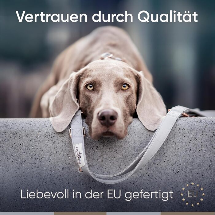 Нашийник для собак Freudentier з веганської шкіри, подарунковий мішечок, м'який, регульований та міцний, для середніх та великих собак, обхват шиї 34-49 см, ширина 2 см