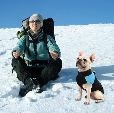 WELLXUNK Куртка для собак, тепла, водонепроникна, для маленьких та великих собак (3XL, блакитна, 83 см)