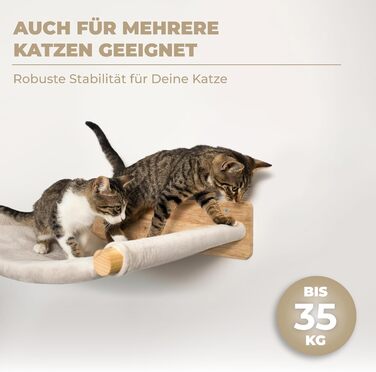 WOOWOOD® Стіна для котів із масиву дерева з 2 сходами, гамаком і когтеточкою – настінний комплекс для котів, меблі для лазіння, кріплення на стіну