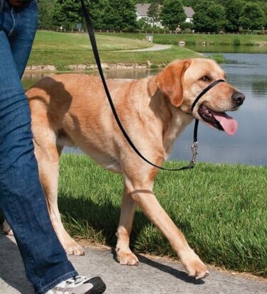 Шлейка для собак PetSafe Easy Walk, середній/великий розмір (чорна, L)