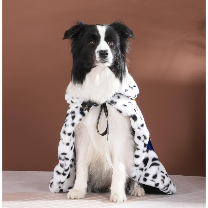 Розкішний мантія Lovelyhop для котів та собак, карнавальний костюм на Halloween, королівський, принц, принцеса, для котів та собак (M, світло-блакитний)