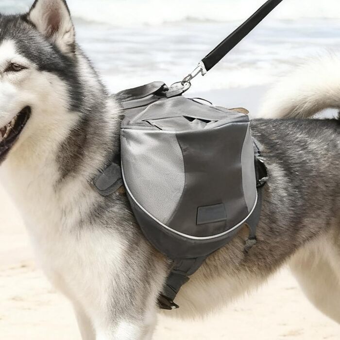 Сумка для прогулянок з собакою Renchey | Регульована, дихаюча сумка-рюкзак для собак - для прогулянок, кемпінгу, подорожей, авто, аеропорту, шопінгу