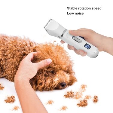 Набір для догляду за собакою: машинка для стрижки, 4 насадки, тиха, бездротова, акумуляторна, тример для лап, набір для собак, котів та інших тварин