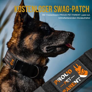 Нашийник для собак OneTigris 5 см з ручкою та патчем, чорний, розмір L