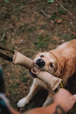 Дресирувальний джутовий апорт для собак Dingo, 2 ручки, 40 см, натуральний колір, ручна робота
