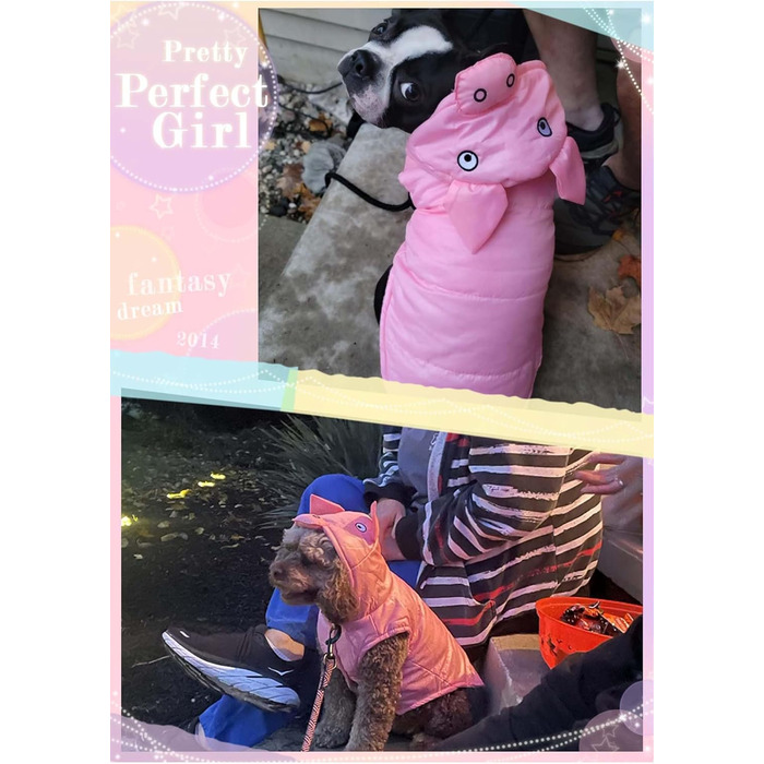 Костюм для собак 