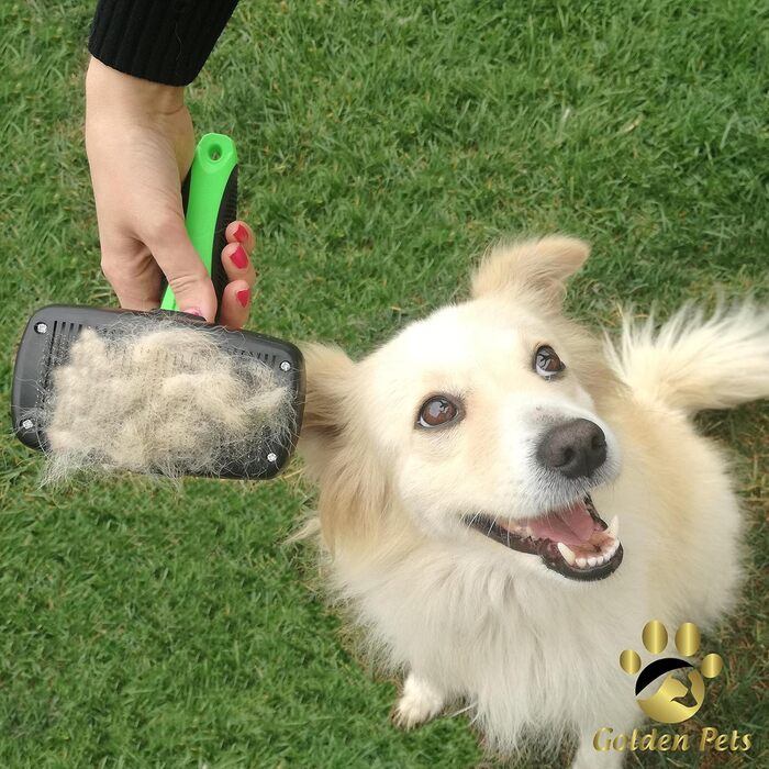 Щітка для собак та котів Golden Pets з автоочищенням. Підходить для короткої та довгої шерсті, для тварин різних розмірів. Швидке очищення та догляд + посібник.