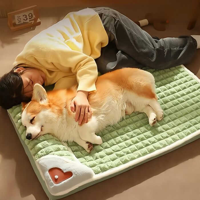 Ортопедична подушка для собак, маленьких та середніх порід - миється, не ковзає, з високим бортиком. Знімна наволочка. Розмір S: 50x35 см (Колір: Коричневий)