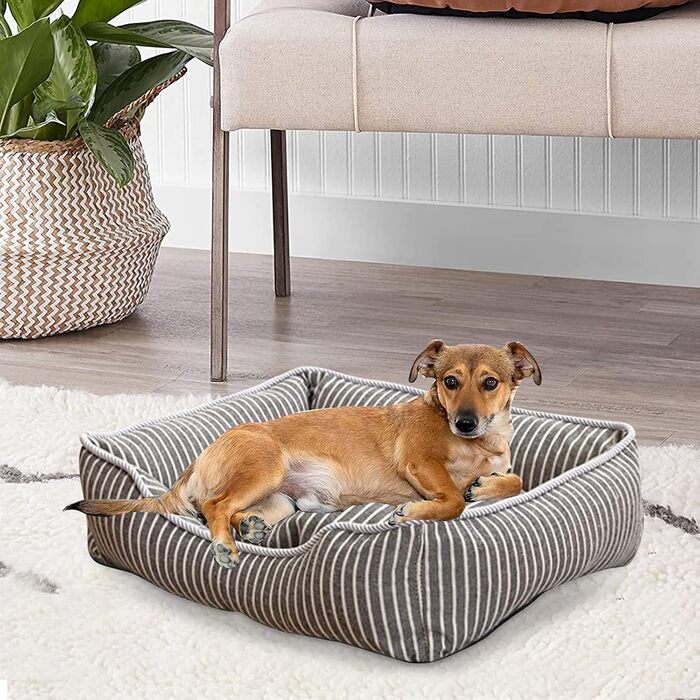 Ортопедичне ліжко для собак Petcute Hautierbett, м'яке, знімний чохол, для маленьких собак, сіре (M)