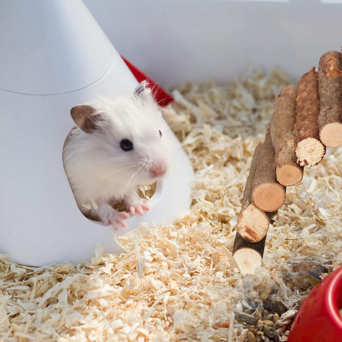 Міст для гризунів Relaxdays Nagerbrücke Holz, 40 x 65 см, аксесуари для клітки кроликів та морських свинок, гнучкий, дерев'яний міст, набір 3 шт.