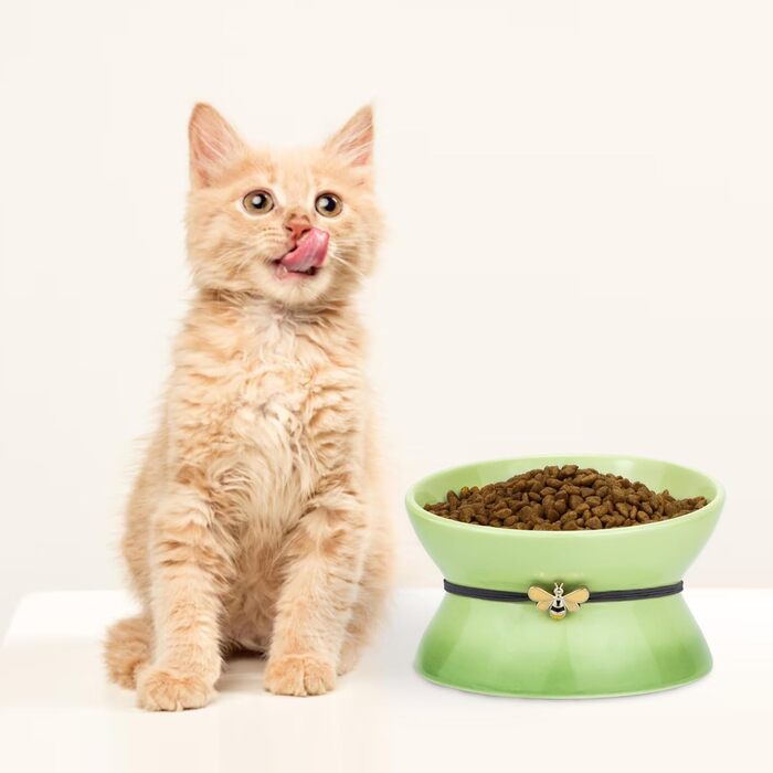 Підвищена годівниця для котів та собак Busnos, керамічна, жовта, 15.5x15.5x11 см