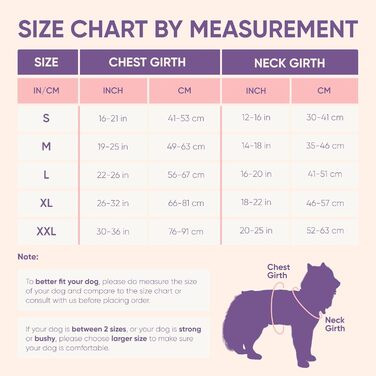 Одяг для собак з красивим бантиком, одяг для маленьких та великих собак та котів, розмір M, багатокольоровий