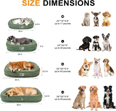 Ортопедичне ліжко для собак маленьких порід, велике (L), зелене Squishmallow, знімний чохол, неслизьке дно, 4 валики для шиї