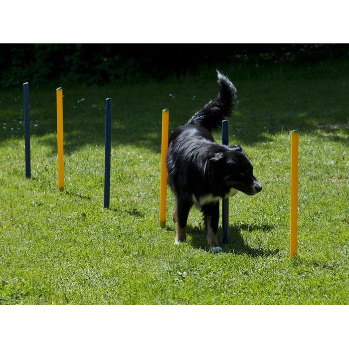 Набір для дресирування собак, Агіліті, Стартовий набір: стійки та тунель. Набір для агіліті, дресирування собак