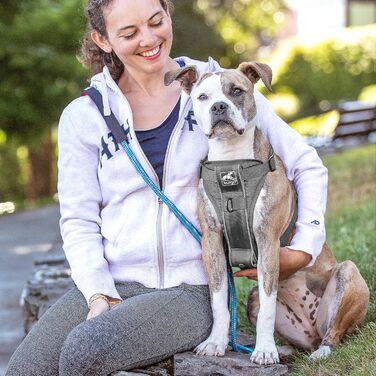 Шлея для собак Kurgo TRU-Fit Smart, велика, сіра, з переднім кільцем для навчання, швидкознімними пряжками та ременем-безпекою для автомобіля