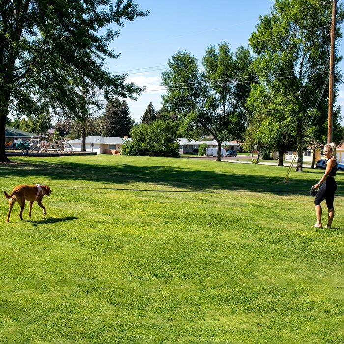 Рулетка для собак Fida 8м, чорна, до 50 кг, 2025