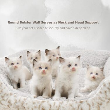 М'яке ліжко для собак Roypet з антиковзким покриттям, для цуценят, собак та котів, прямокутне, з матрацом, колір кремовий, розмір L