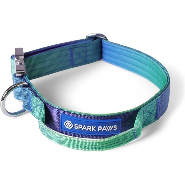 Тактичний нашийник для собак Spark Paws – міцний, преміум-якість, для великих та середніх собак (Lime Wave, XS: 9-18 кг [2.5 см])