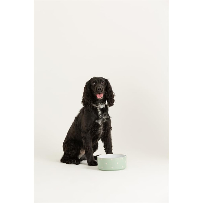 Миска для собак Mason Cash, з точками, 18 см, салатовий колір