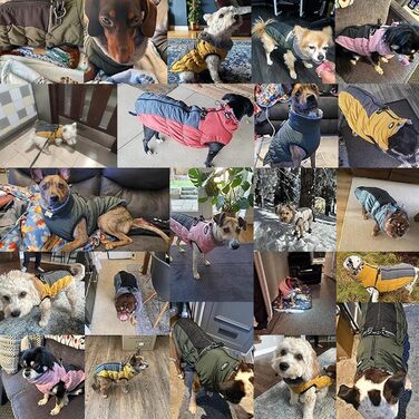 Зимовий теплий водонепроникний теплий одяг для собак Poseca: куртка, жилет, одяг для собак, шлейка, куртка з відбиваючими елементами, еластичний одяг для собак (XS, блакитний)