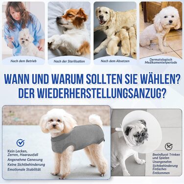 Комбінезон для собак після операції Eyein, сірий, XL (55-63 см). Дихаючий, зручний, з регульованою застібкою, захисний костюм для собак, альтернатива електронного нашийника.