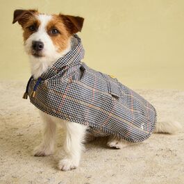 Водонепроникний дощовик для собак Rosewood x Joules Henson Check, маленький, легкий, з можливістю прання
