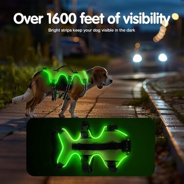 Світловідбиваючий нашийник для собак з LED, перезаряджуваний, м'який, водонепроникний, 3 режими, зелений, розмір M