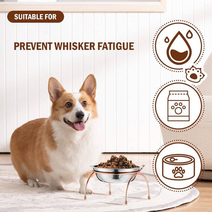 Набір з 6 піднятих мисок для котів, 14 см, нержавіюча сталь, миски для котів з металевим підставкою, без стресу, для вусів, піднята годівниця та миска для води для котів, кошенят, маленьких собак, 340 мл