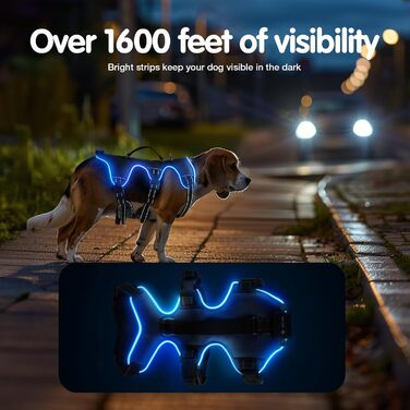 Світловідбиваючий нашийник для собак з LED підсвічуванням, перезаряджуваний, з м'якою ручкою, 3 регульовані розміри, водонепроникний, для середніх та великих собак, зелений (блакитний, XL)