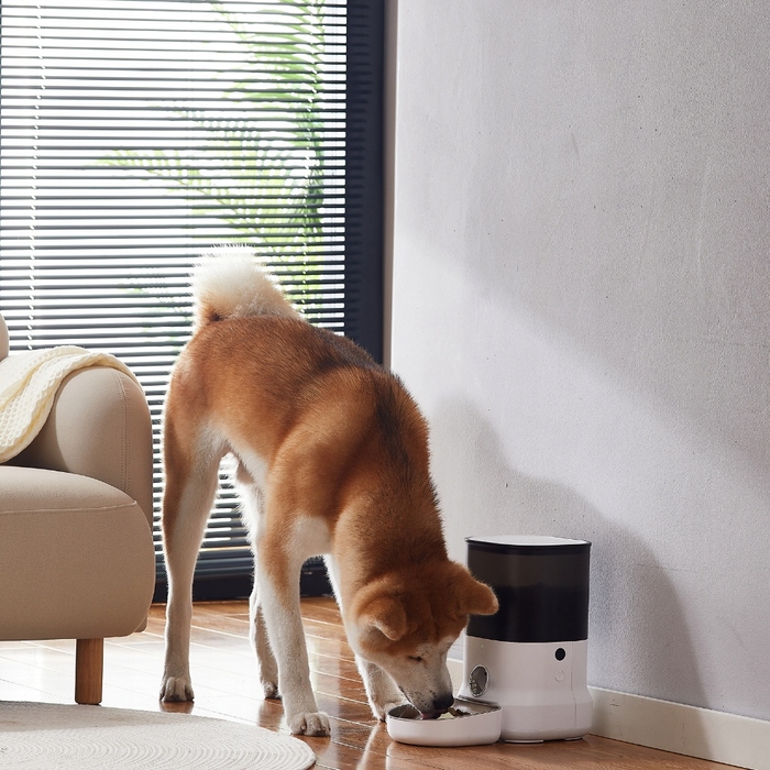 Автоматичний годувальник для собак та котів DOGNESS з керуванням через додаток, 6 л