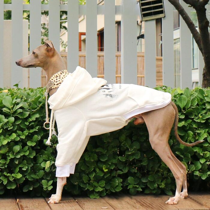 Світшот для великих собак, віндгаунд, піжама, теплий зимовий костюм з довгим рукавом, рожевий, 3XL