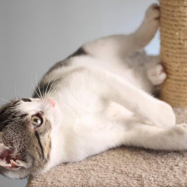 Дряпка для котів Penthouse Sleep & Play, 122 см, біла