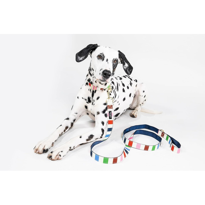 Собача повідок Kate Spade New York 1,4 м, міцний для малих і середніх собак, з золотистою фурнітурою, стильний для сук і кобелів