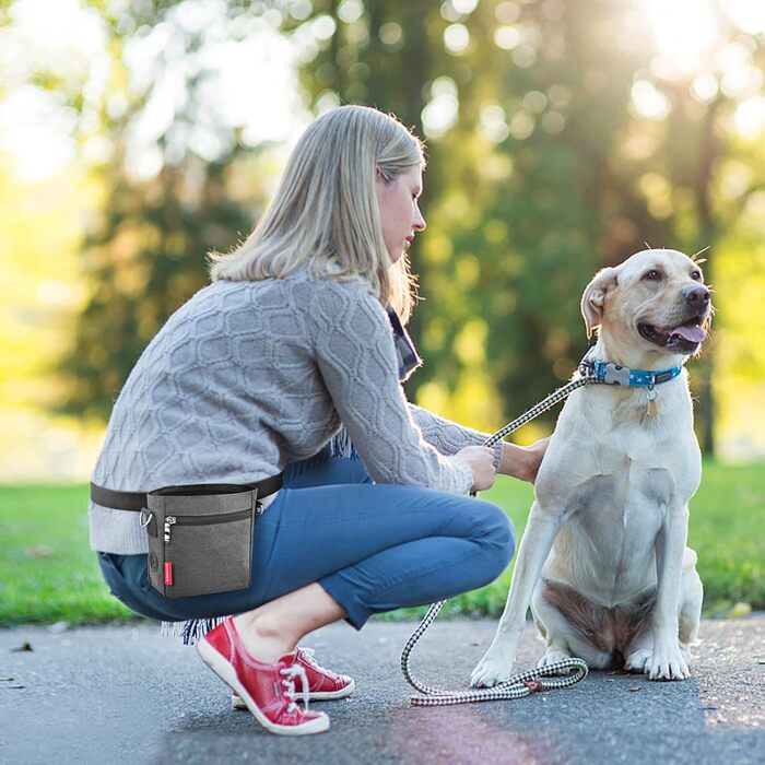 Футляр для ласощів для собак з магнітною застібкою, сумка для тренування собак з знімною внутрішньою кишенькою, багатофункціональний контейнер для ласощів для собак зі спонжером для екскрементів, сірий світло-сірий