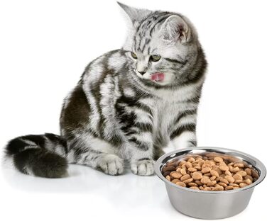 Набори мисок для собак та котів DEAYOU з нержавіючої сталі (4 шт.), 21 см, 1.3 л