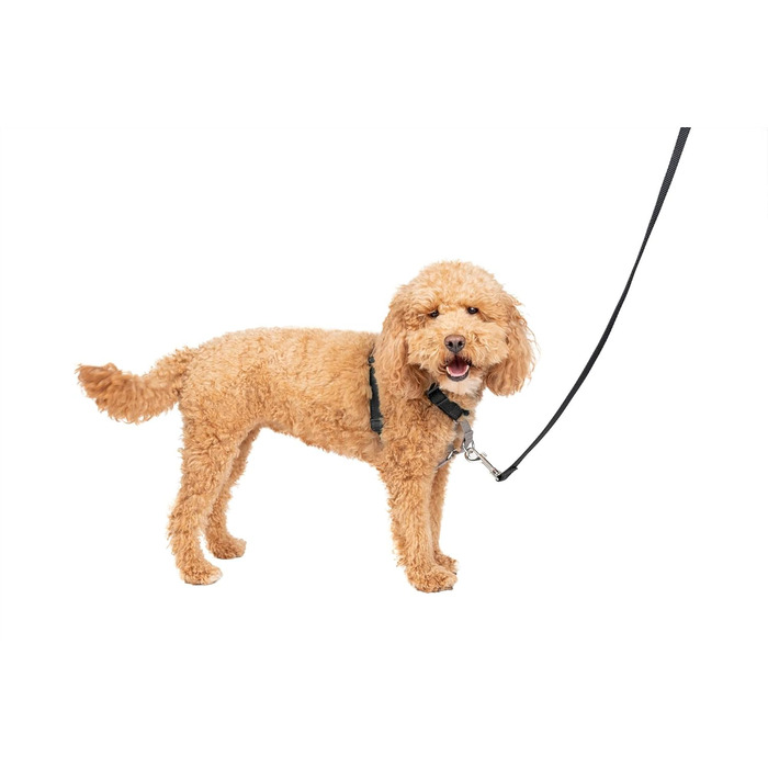 Шлея для собак PetSafe 3-в-1, регульована анти-тягова, виробник Easy Walk, для прогулянок та автомобіля