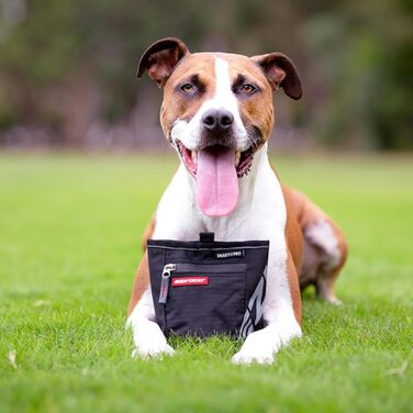 EzyDog SnakPak - сумка для ласощів, червона