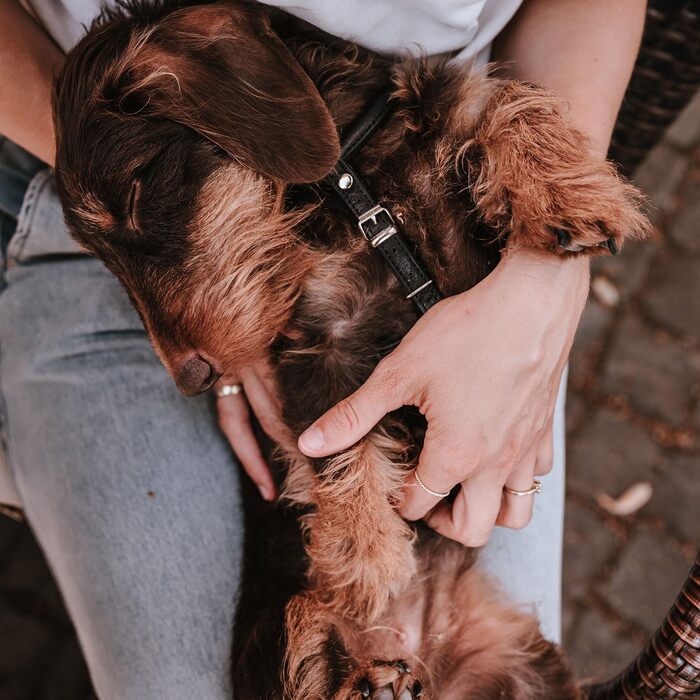 Нашийник для собак HUNTER Round & Soft Canadian UP, чорний, м'яка шкіра, фелл-френдлі, Made in Germany