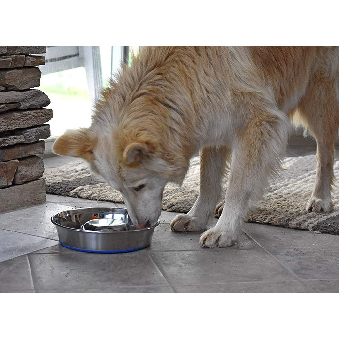Durapet OurPets преміум антипоїдний металевий миска для собак