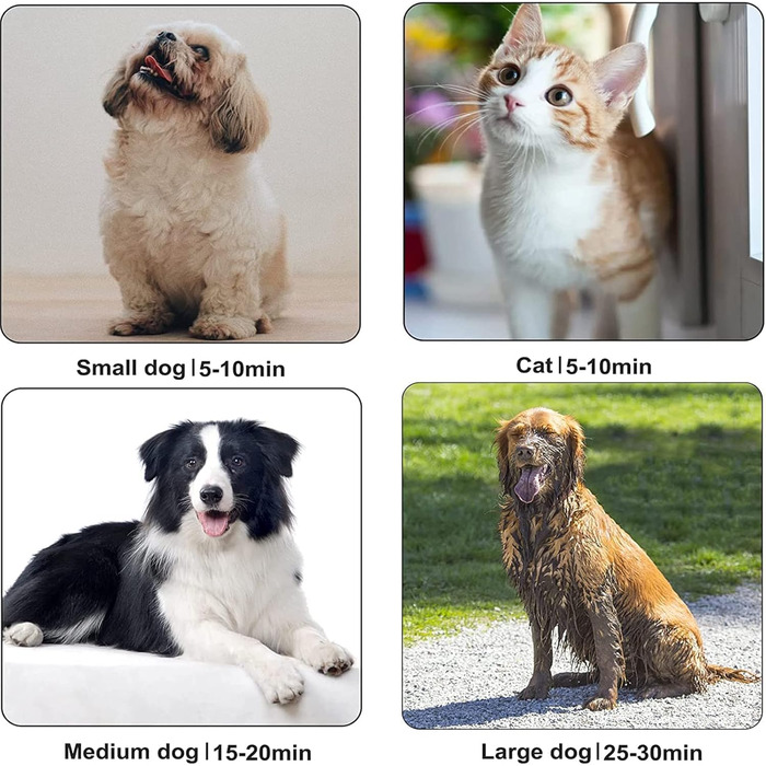 Фен для собак, 2800W, регулювання швидкості та температури, тихий, 4 насадки, для професійного та домашнього використання (Чорний)